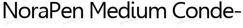 NoraPen Medium Conde字体转换